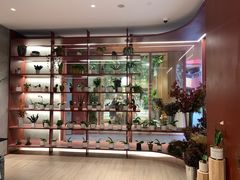 -二酉书店TOYOU BOOKS