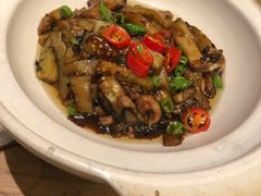 -新白鹿餐厅(城西银泰城店)