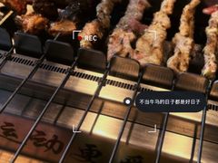 -邢氏老太太烤串(北兴街店)