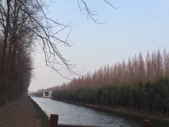 -黄海国家森林公园