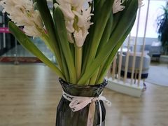 -爱月宝月嫂·育儿嫂(哈尔滨总店)