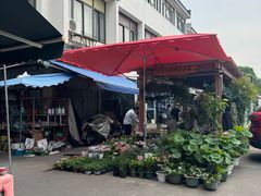 -苏州市皮市街花鸟工艺品市场