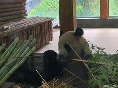 -云南野生动物园