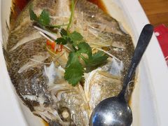 -石榴红了·非遗酥皮烤包子·新疆菜(瑞豪店)