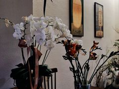 -COTTON CAFE(德信·中外公寓店)