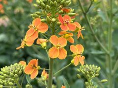 -中国天府农业博览园