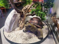 -小肥牛自助火锅海鲜烤肉(睢宁万达店)