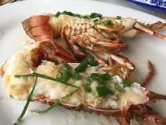 清蒸龙虾-鑫悦楼煎蟹·16年海鲜大排档