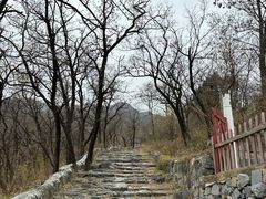 -阳台山自然风景区