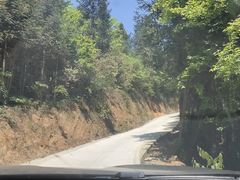 -紫鹊界梯田景区
