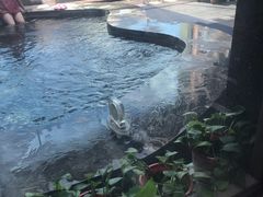 -弘安丽水温泉酒店