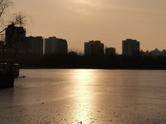 -莲花池公园