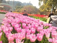 -南山植物园