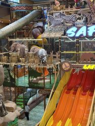 -卡通尼·Safari非洲探索乐园·生日会(金桥国际商业广场店)