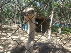 -草根堂农场