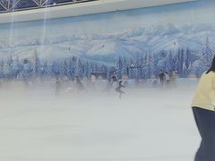 -世界之窗阿尔卑斯冰雪世界