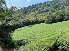 -敬亭山风景名胜区