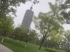 -西海子公园