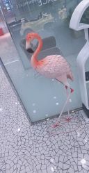 -时尚殿堂hair salon（上地华联店）