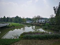 -桤木河湿地公园