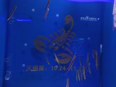 -石家庄极地海洋世界