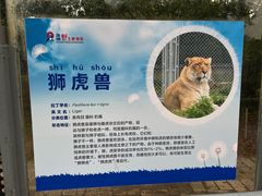 -深圳野生动物园