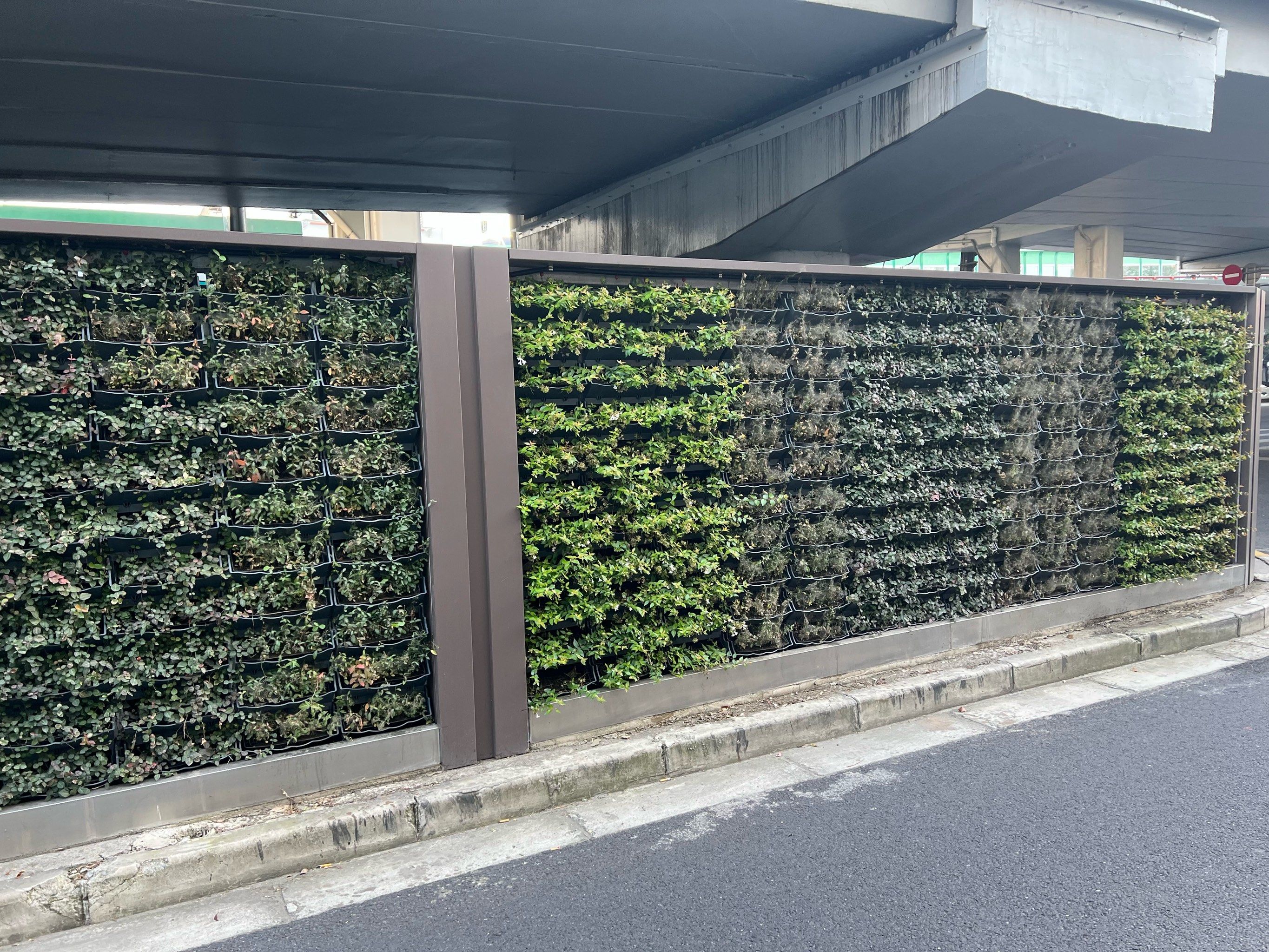 高架桥下也开始种绿植了,让城市多一点绿色