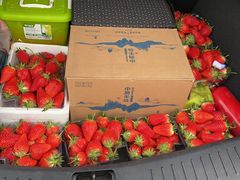 -东方鼎信农副产品交易中心