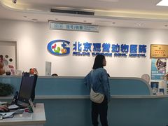 -北京观赏动物医院·24小时大型综合·猫专科·异宠专科