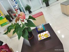 -中国民生银行(虹桥支行)