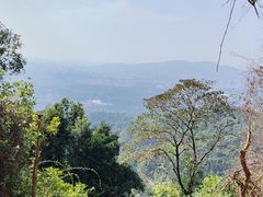 -火炉山森林公园