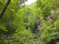 -大连天门山国家森林公园