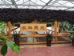 -兰陵国家农业公园