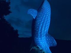 -珠海长隆海洋王国