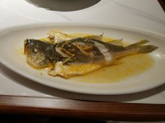 -锦顺海鲜•口味菜(李村店)