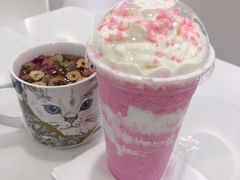 -飞行喵MR PILOT|猫舍·猫咖(静安大融城店)