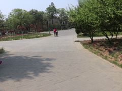 -大兴滨河森林公园