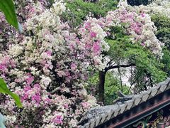 -深圳国际园林花卉博览园