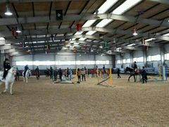 -月河湾马术俱乐部(朝阳店)