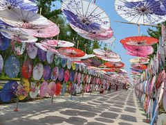 -野鸭湖国家湿地公园