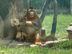 -大连森林动物园