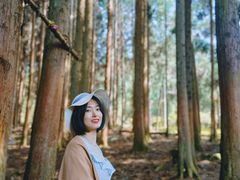 -武陵山森林公园