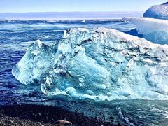 -上海旅游集散中心(万体站)