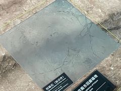 -南越王博物院(王宫展区)