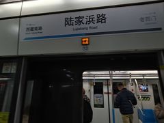 -陆家浜路(地铁站)