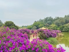 -南国桃园旅游度假区