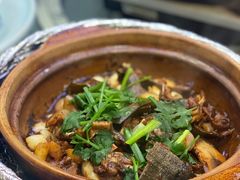 甲鱼煲-金龙·打边炉(南京西路店)