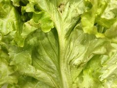 -福成自助烤肉(青春路店)