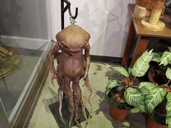 -九又四分之三站台哈利波特商店