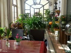 android_upload_pic-莫奈花园餐厅(麦迪逊花园店)